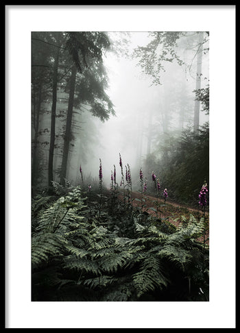 Poster - The Forest Path