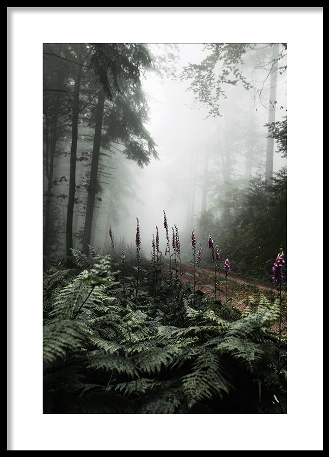 Poster - The Forest Path