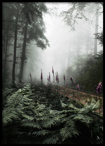Poster - The Forest Path
