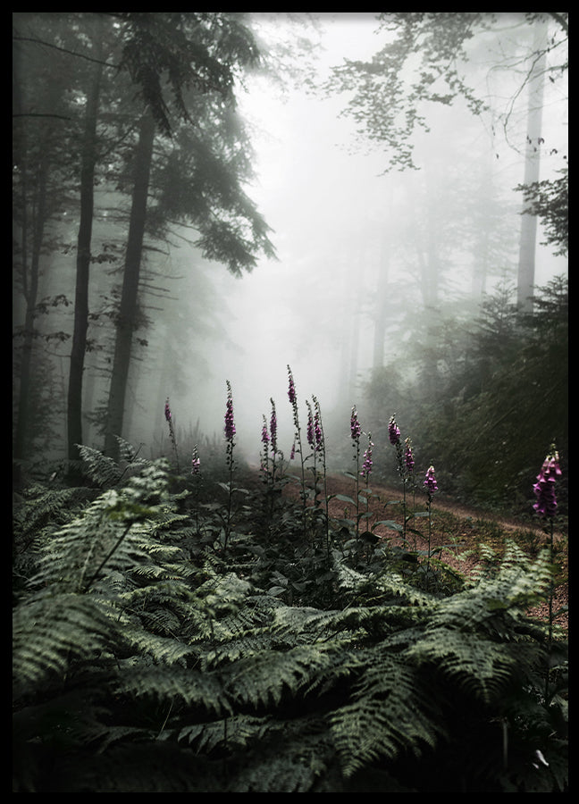 Poster - The Forest Path