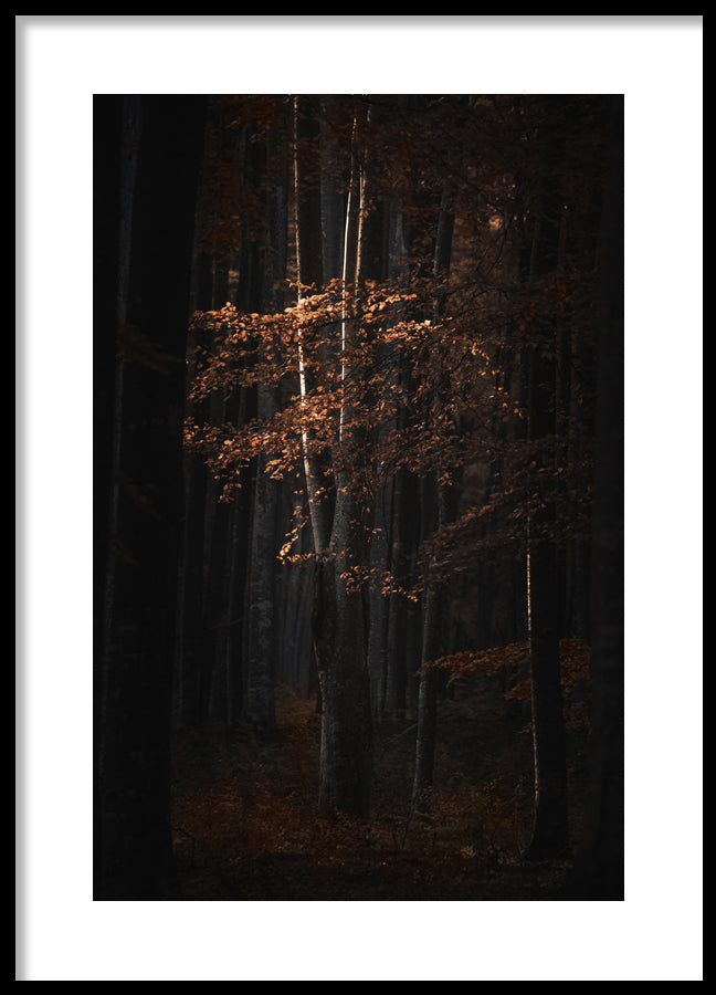 Poster - Golden Tree