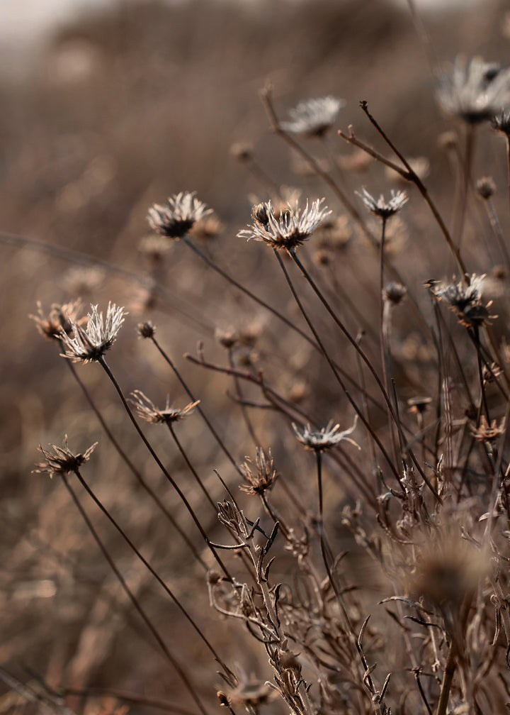 Canvastavla - Autumn Garden
