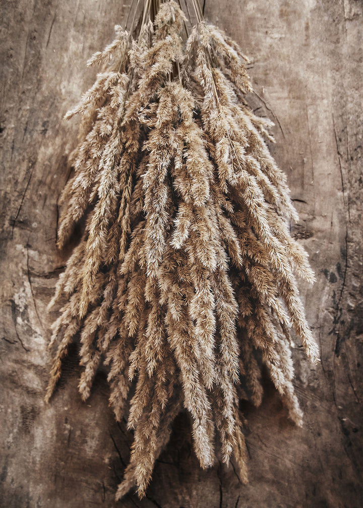 Canvastavla - Nosegay of Autumn