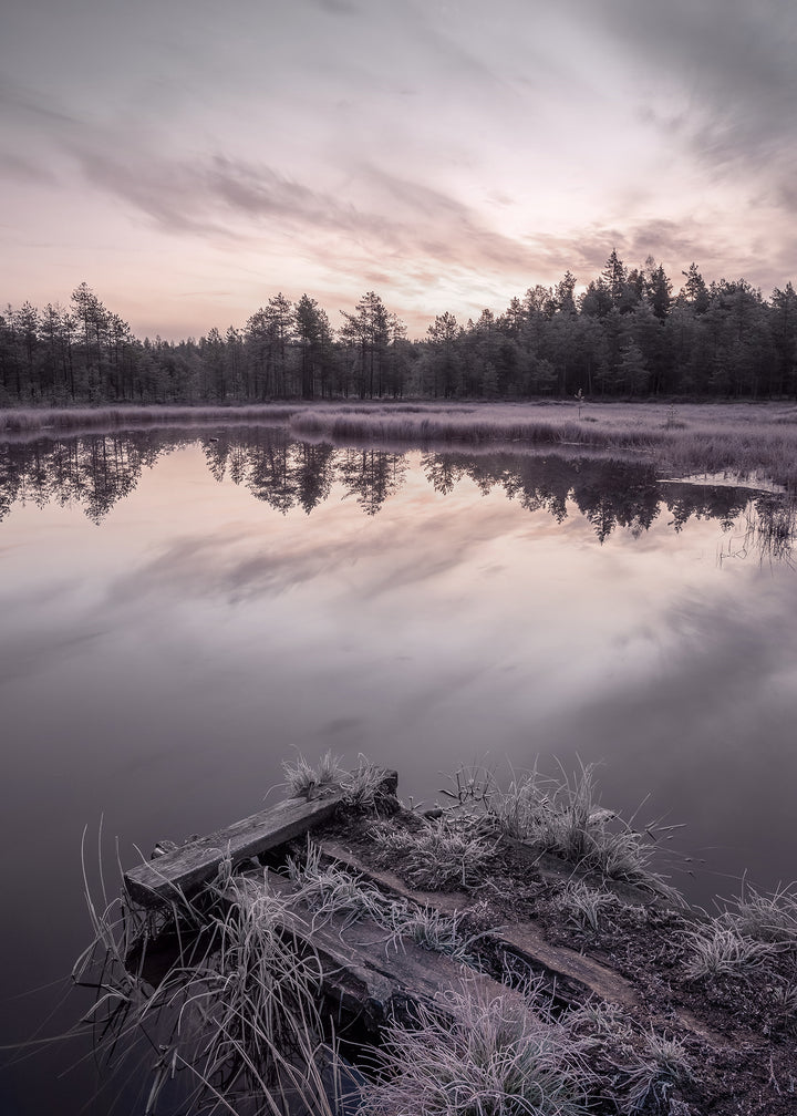 Canvastavla - Winter Sunrise