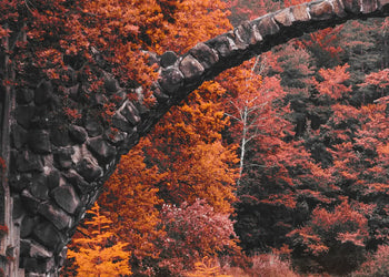 Canvastavla - Autumn’s Gateway