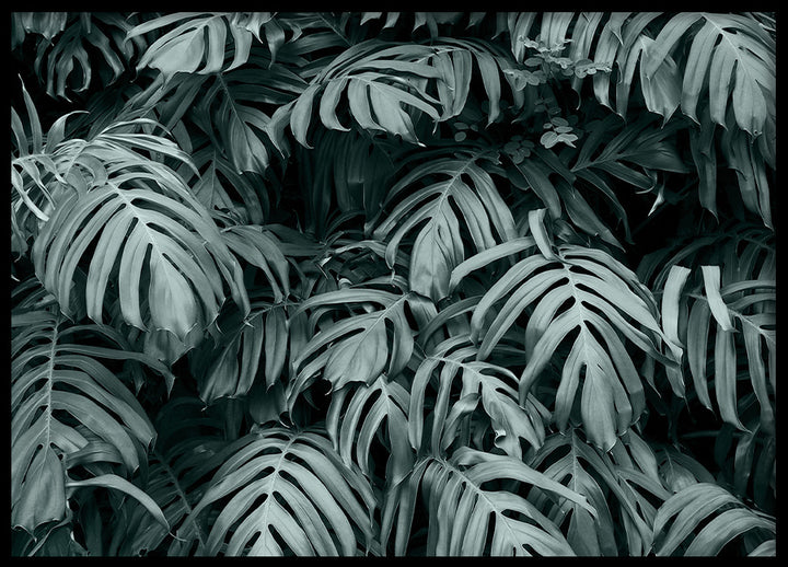 Poster - Rainforest