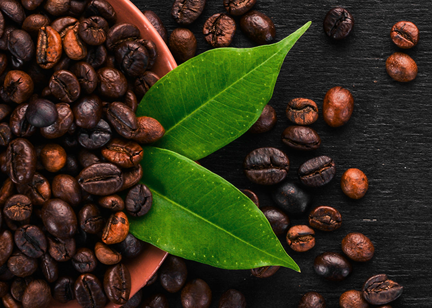 Canvastavla - Arabica
