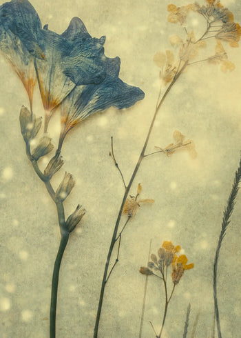 Canvastavla - Ethereal Garden