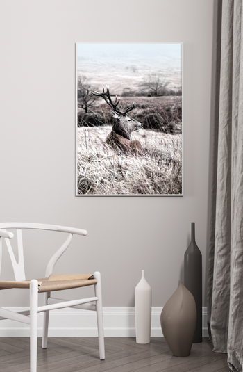 Poster - Shades of Winter