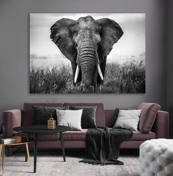 Ljuddämpande tavla - Elefant i svartvita nyanser