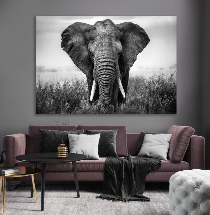 Ljuddämpande tavla - Elefant i svartvita nyanser