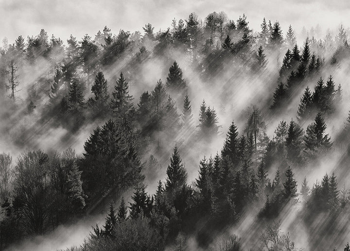 Ljuddämpande tavla - Sundance