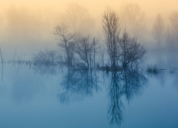 Ljuddämpande tavla - Reflektion