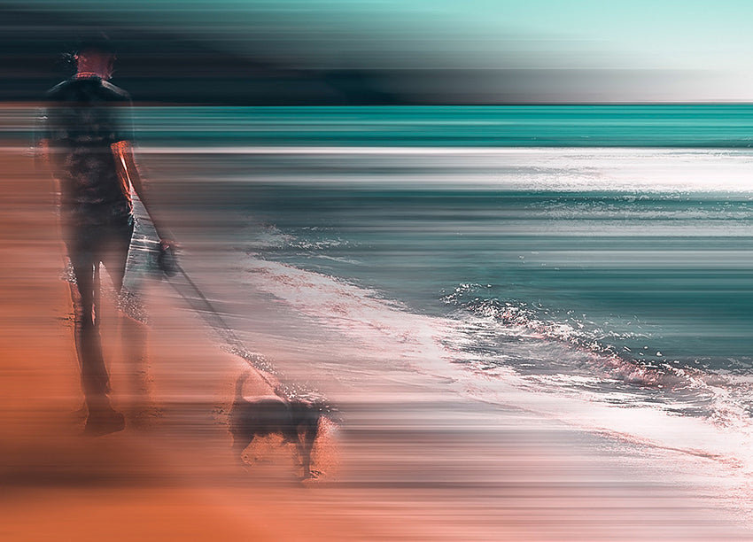 Ljuddämpande tavla - Doggy Promenade