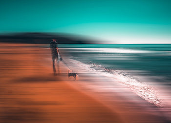 Ljuddämpande tavla - Doggy Promenade