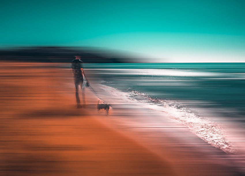 Ljuddämpande tavla - Doggy Promenade