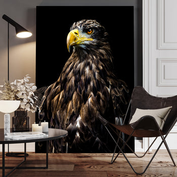 Ljuddämpande tavla - Eagle