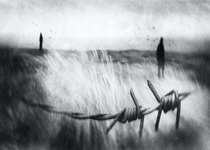 Ljuddämpande tavla - Barbed Wire