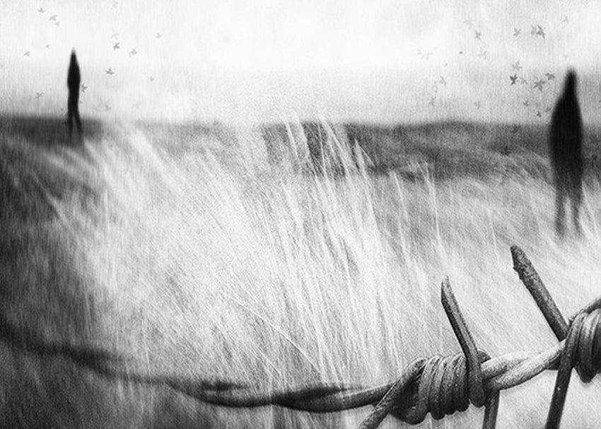 Ljuddämpande tavla - Barbed Wire