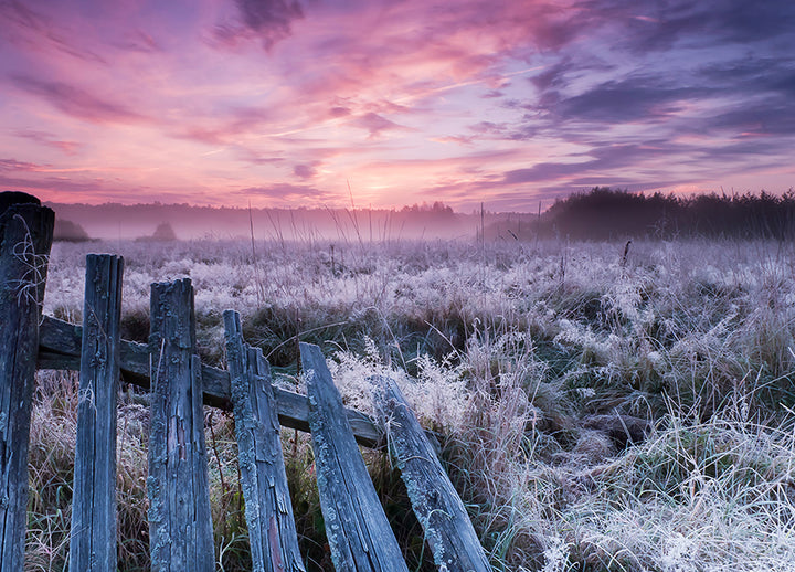 Ljuddämpande tavla - Winter Morning