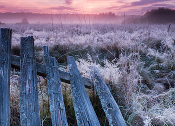 Ljuddämpande tavla - Winter Morning