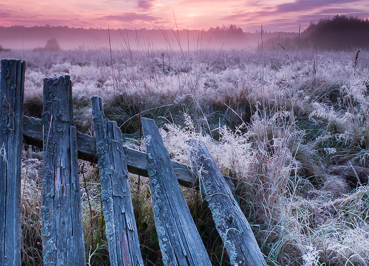 Ljuddämpande tavla - Winter Morning