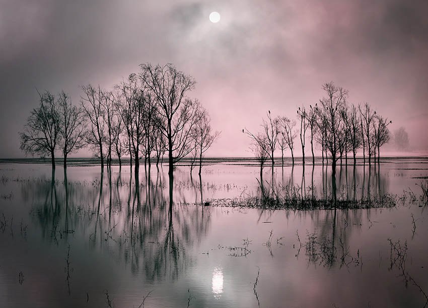 Ljuddämpande tavla - Lake´s Secret