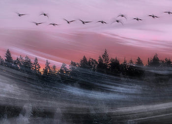Ljuddämpande tavla - Leaving at dawn