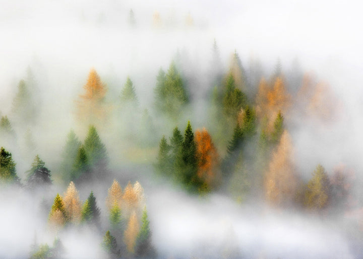 Ljuddämpande tavla - Winter's Vail