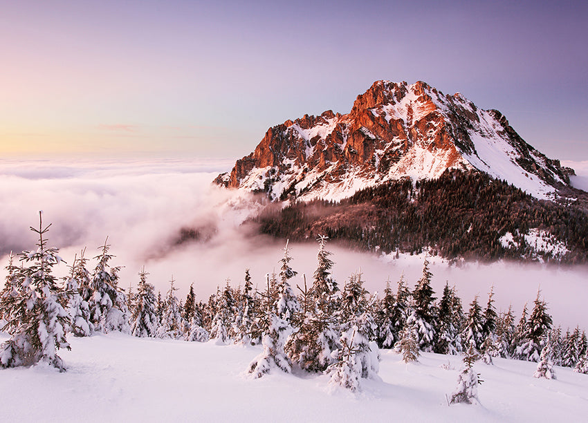 Ljuddämpande tavla - Peak