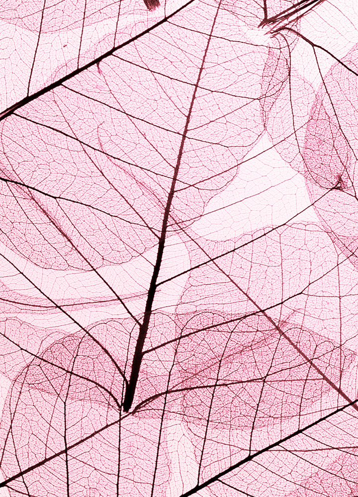 Ljuddämpande tavla - Leafs