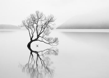 Ljuddämpande tavla - Serenity