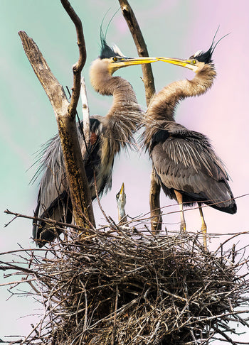 Ljuddämpande tavla - Herons Den