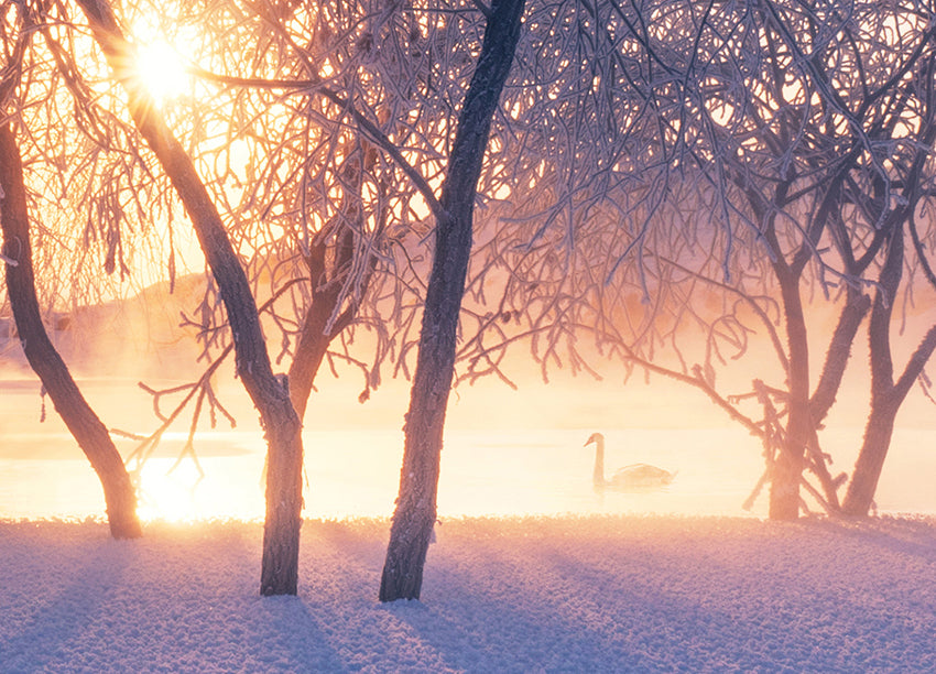 Ljuddämpande tavla - Winter Light
