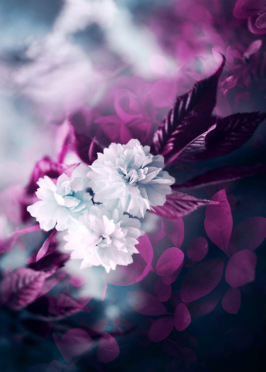 Ljuddämpande tavla - Purple and white