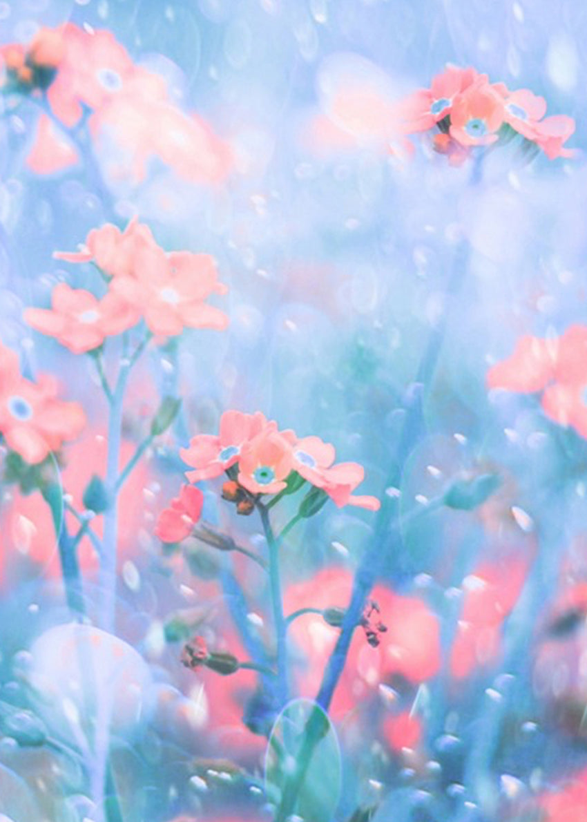 Ljuddämpande tavla - Melodius