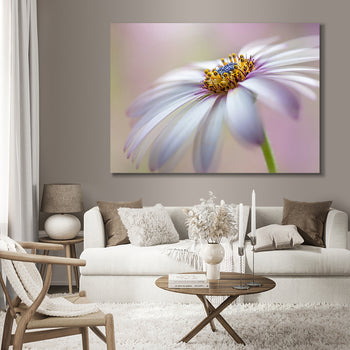 Ljuddämpande tavla - Michaelmas daisy