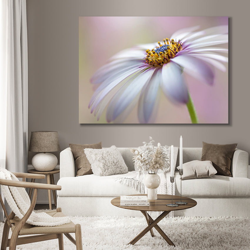 Ljuddämpande tavla - Michaelmas daisy