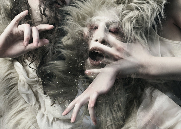 Ljuddämpande tavla - Wolf daughters