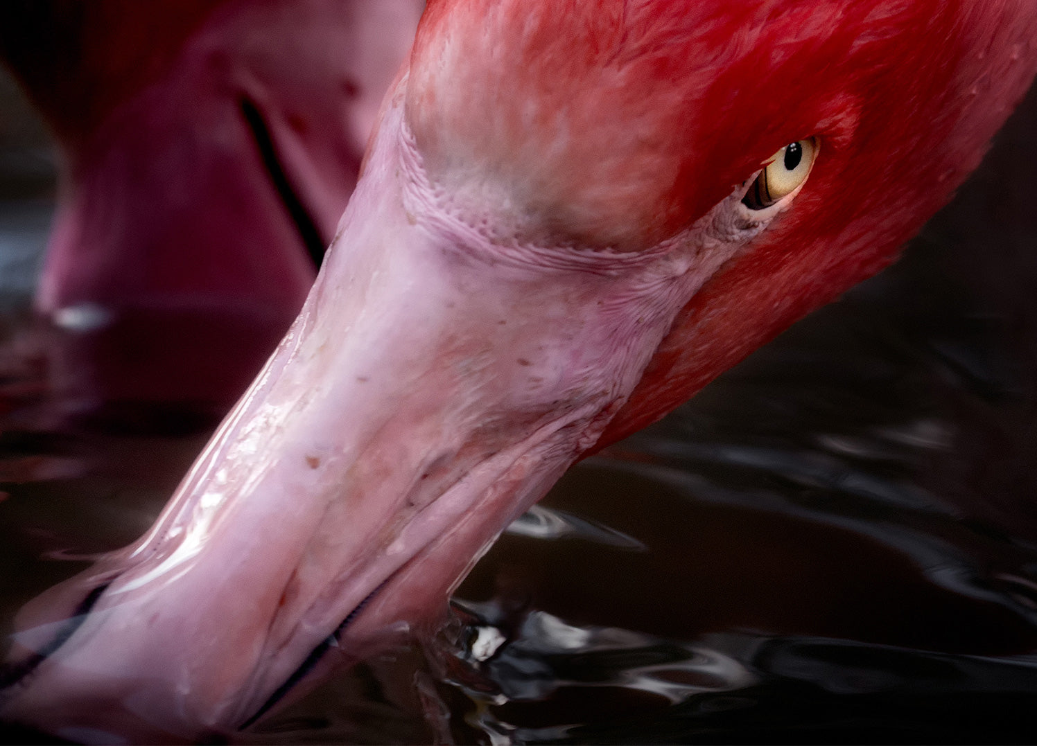 Ljuddämpande tavla - Thirst