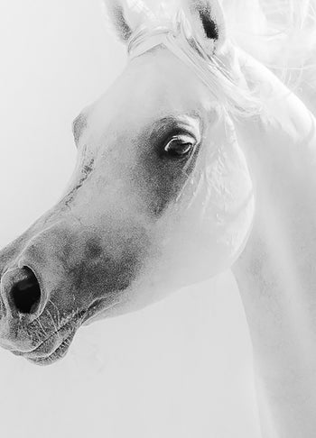 Ljuddämpande tavla - Alaska