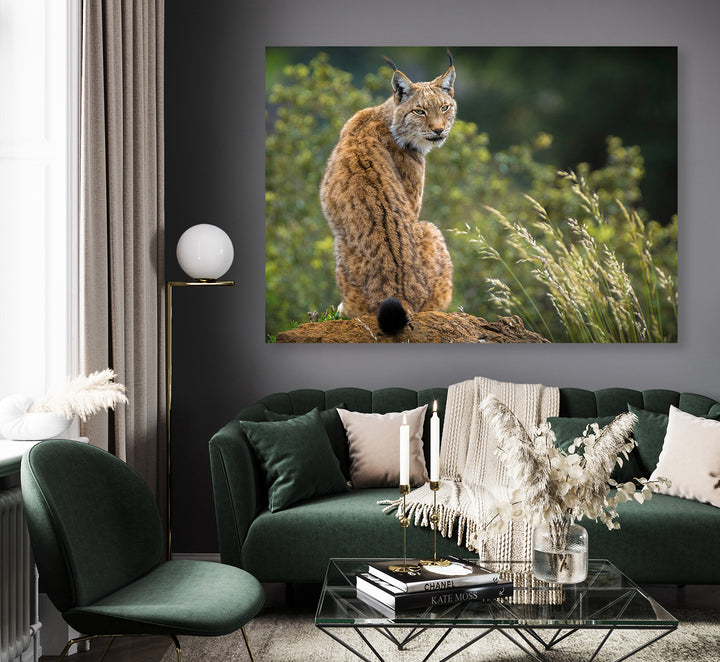 Ljuddämpande tavla - Lynx
