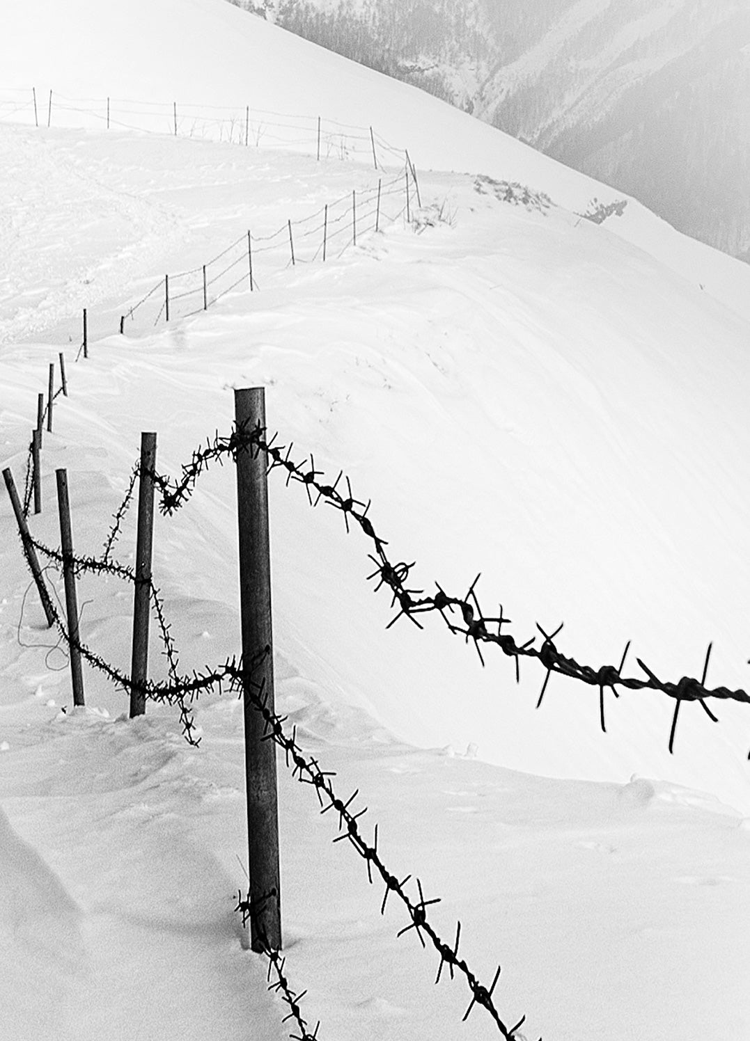 Ljuddämpande tavla - Into the White