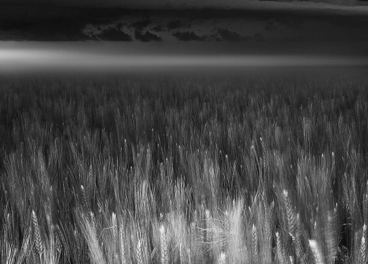 Ljuddämpande tavla - Between Earth & Sky