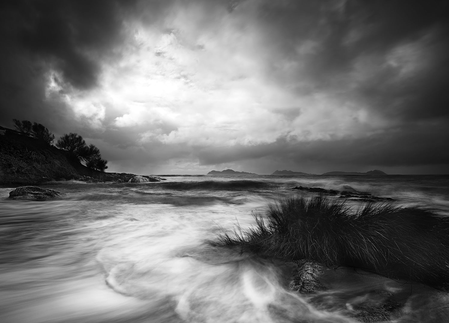Ljuddämpande tavla - Rushes In The Sea