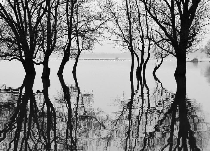 Ljuddämpande tavla - Flood