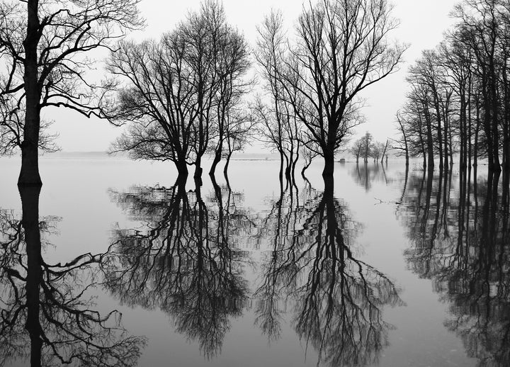 Ljuddämpande tavla - Flood