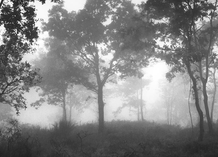 Ljuddämpande tavla - Ethereal Moody Moments