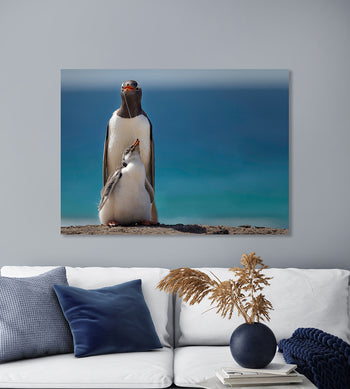 Ljuddämpande tavla - Penguin