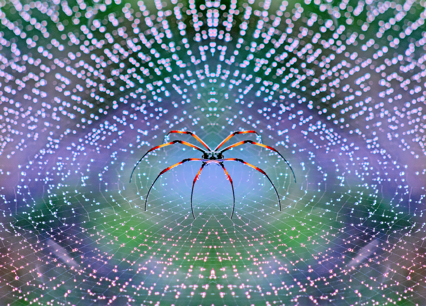Ljuddämpande tavla - Plexus